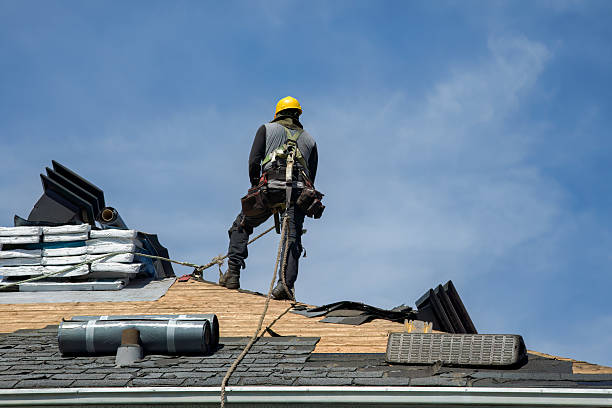 Professional Roofing technician working in Danville, IL